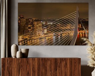 Zicht door de Erasmusbrug van Klazina van den Herik