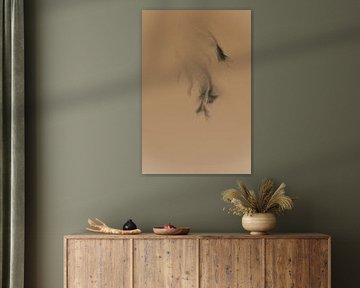 Ombre sur Esther van Beek