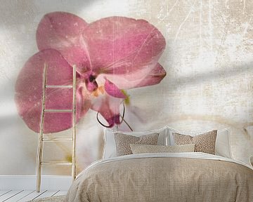 Orchidee bloem in roze van Christine Nöhmeier