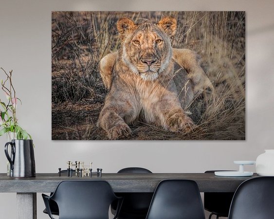 Aperçu de la chambre