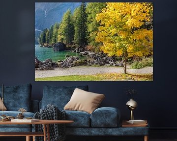 Prachtige Noorse esdoorn aan het meer van Braies in de herfst, Zuid-Tirol