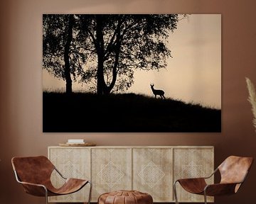 Reebok on the hill by Arjan Otte