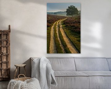 Een oude zandweg op de Posbank van Anges van der Logt