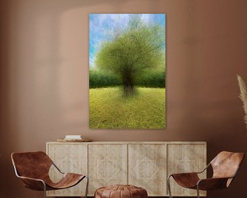 Baum mit Pep Ventosa-Technik. 2
