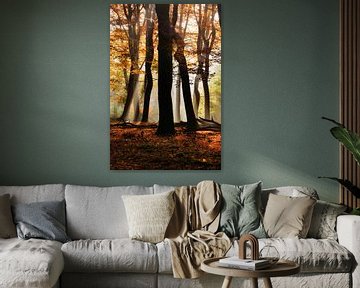 La forêt des arbres dansants sur Fotografie Egmond