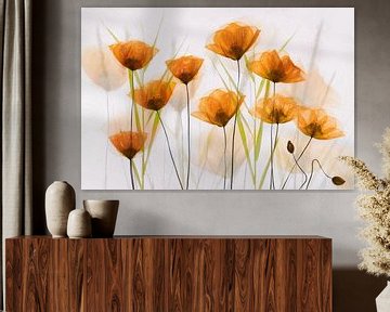 Poppy Art - Coquelicots orange sur Brigitte van Krimpen