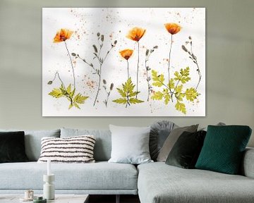 Delicate Poppies - coquelicots orange sur Brigitte van Krimpen
