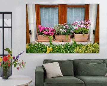 Charmante fenêtre avec des pots de plantes fleuris et des fleurs vibrantes à l'extérieur