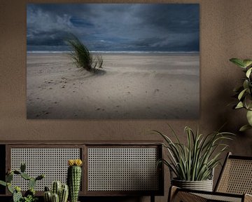 Nach dem Regen von Peter Bartelings