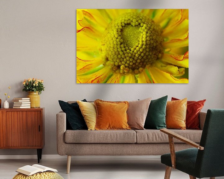 Sfeerimpressie: Gele bloem, Macrofotografie van Watze D. de Haan