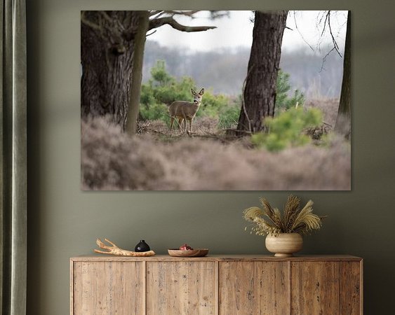 Aperçu de la chambre