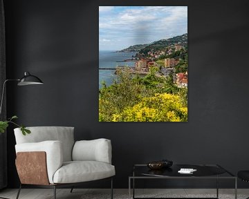 Porto Maurizio in Oneglia