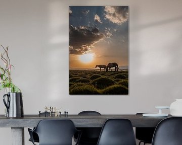 Twee paarden in de stilte van Soň-Köl