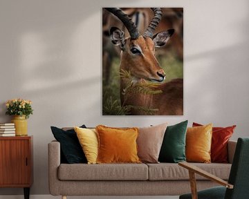 Impala africain dans les buissons sur Ian Schepers