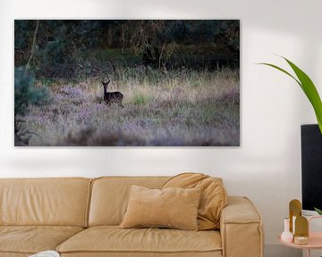 The black deer in the moor by Hajar Bakali