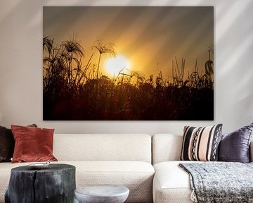 Sunset in Namibia by Mark Sluijmers