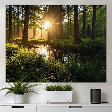 Golden sunlight in the forest, Gouden zonlicht in het bos