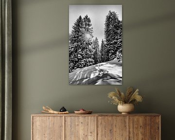 Winterlandschap in direct tegenlicht van Heiko Meier