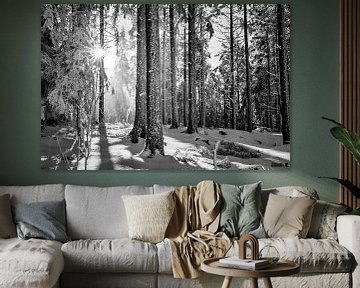 Zonlicht in het winterse bos van Heiko Meier