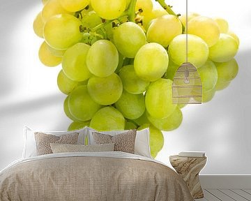 white grapes by Liesbeth Govers voor Santmedia.nl