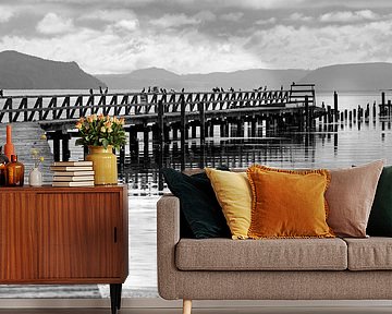Schwarz-Weiß-Aufnahme eines baufälligen Stegs am Südufer des Lake Taupo, Neuseeland