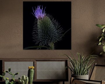 Fleur sur Ralf Hickmann