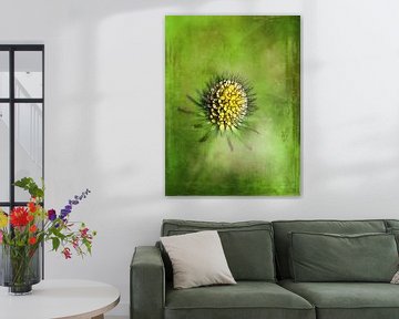 Distel groen geel van Claudia Gründler