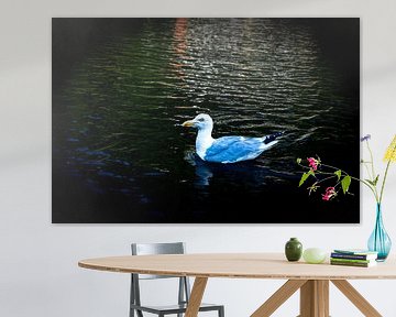 Zeemeeuw  dobberend op het water van Franklin Driessen