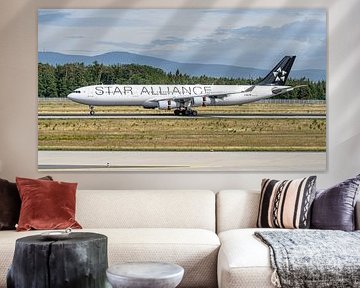 Lufthansa Airbus A340-300 in den Farben der Star Alliance. von Jaap van den Berg