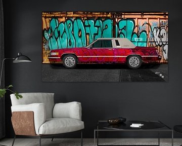 Ford Thunderbird Box Bird Graffiti Art Car by aRi F. Huber