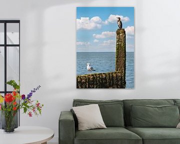 Aalscholver en meeuw op golfbreker in Zeeland van Marcel van Oene