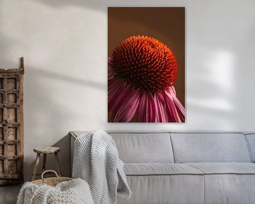 Close-up in warme kleuren: Het hart van een Echinacea van Marjolijn van den Berg