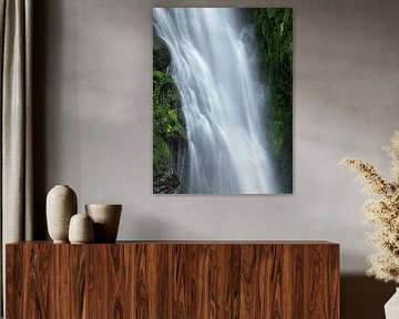La force de l'eau sur Anselm Ziegler Photography
