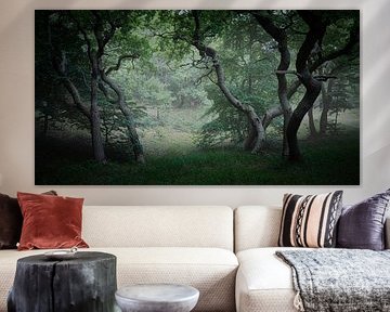 peinture de chêne dans la brume sur peterheinspictures