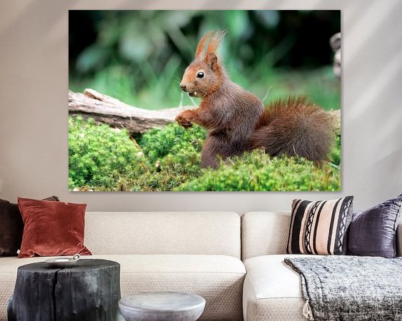 Aperçu de la chambre