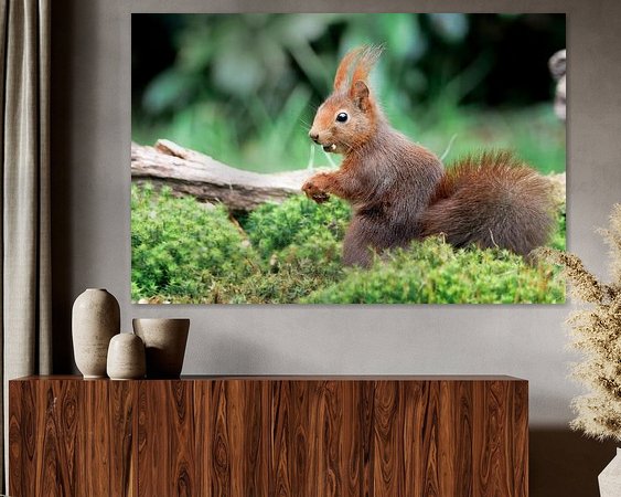 Aperçu de la chambre