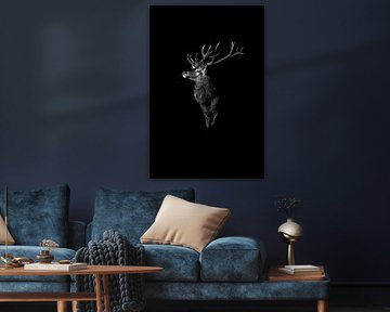 Red deer black & white| low-key by birdwatching_veluwe by Mirjam Boeschen Hospers