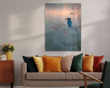 Ochtendstilte – IJsvogel in het Gouden Licht