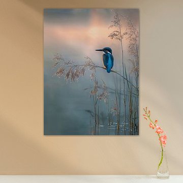 Morgenstille - Eisvogel im goldenen Licht