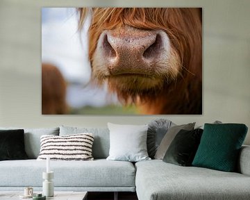 Schotse Hooglander snoet | Fine Art Close up van BY Patries