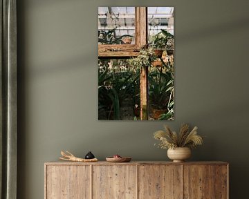 Nahaufnahme eines Fensters mit Pflanzen im botanischen Gewächshaus