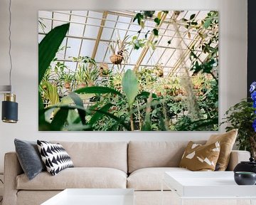 Hangende planten in botanische tuinkas van Diana van Neck Photography