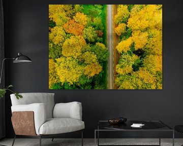 Road through an autumn forest with colorful leaves seen from abo by Sjoerd van der Wal Photography
