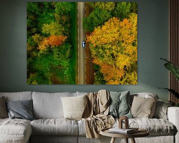 Road through an autumn forest with colorful leaves seen from abo by Sjoerd van der Wal Photography
