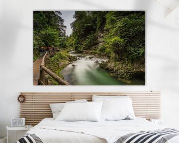 Vintgar Gorge van Maurice Hoogeboom