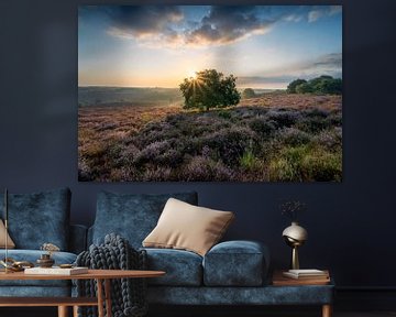 Morning Sun van Max ter Burg Fotografie