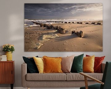 Verweerd Hout en Eeuwige Getijden: Tijdloze Fotokunst van de Nederlandse Kust van Hevonax Photography