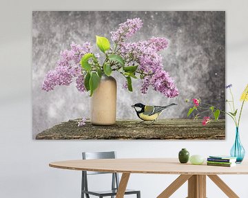 Vogel - Koolmees op een sering van Jürgen Schmittdiel Photography