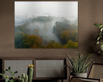 Misty forest overhead aerial view during autumn by Sjoerd van der Wal Photography