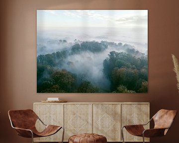 Misty forest overhead aerial view during autumn by Sjoerd van der Wal Photography